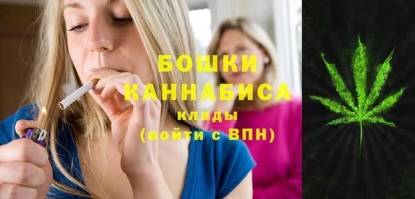 ПСИЛОЦИБИНОВЫЕ ГРИБЫ Балахна