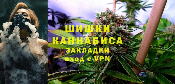 ПСИЛОЦИБИНОВЫЕ ГРИБЫ Балахна