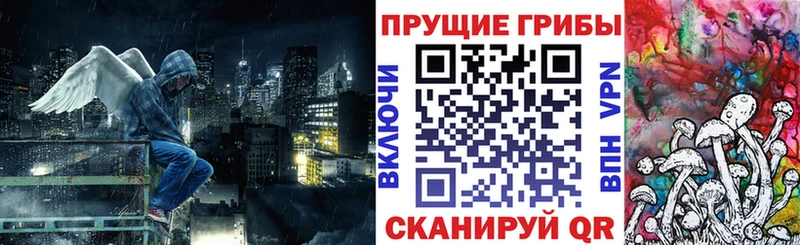 Галлюциногенные грибы Cubensis Златоуст
