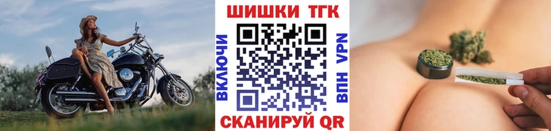 Конопля гибрид  Златоуст 